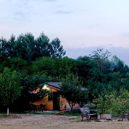 La Livada Villa Valea Danului Bagian luar foto
