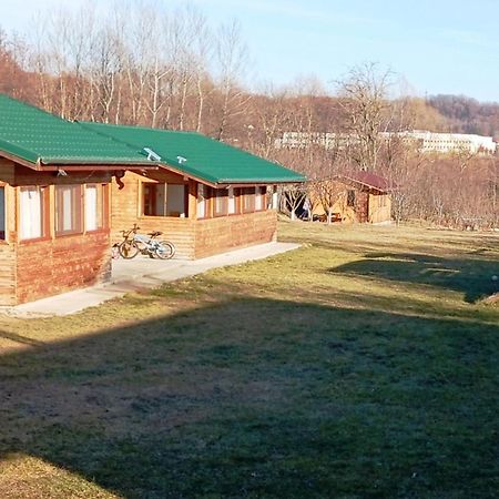 La Livada Villa Valea Danului Bagian luar foto
