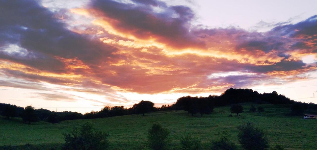 La Livada Villa Valea Danului Bagian luar foto