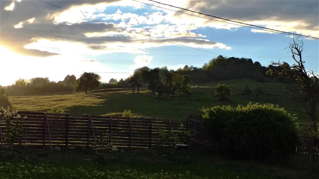 La Livada Villa Valea Danului Bagian luar foto