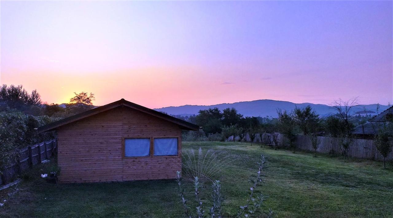 La Livada Villa Valea Danului Bagian luar foto