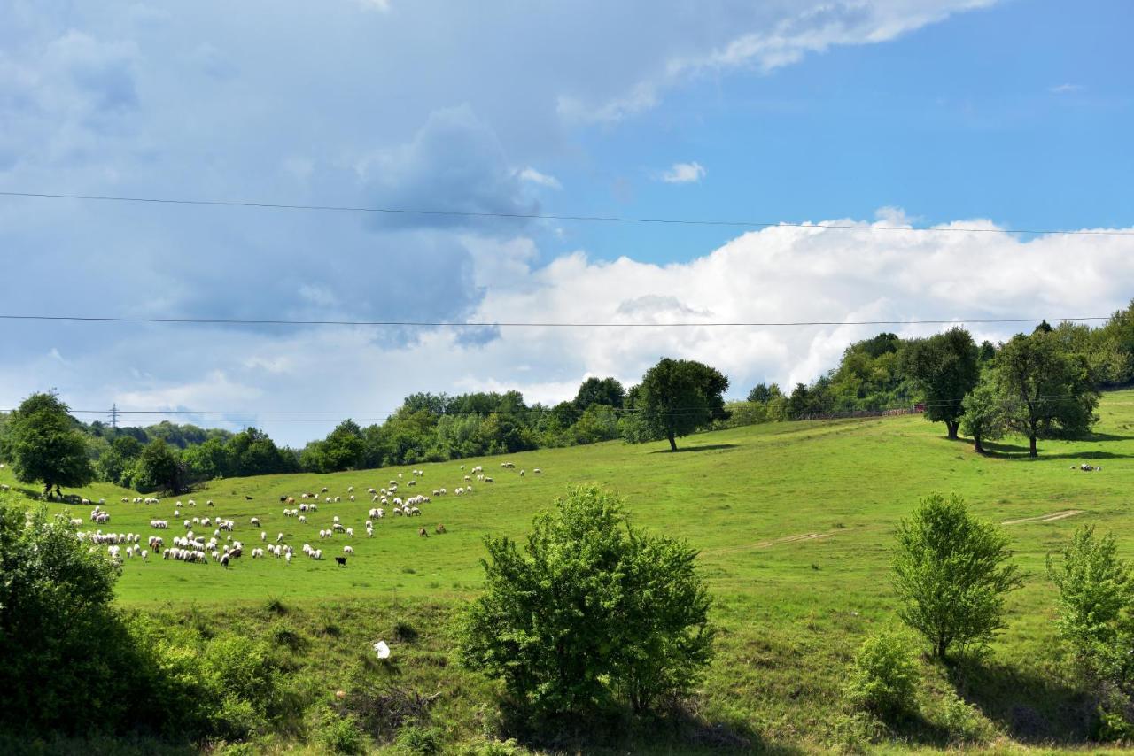 La Livada Villa Valea Danului Bagian luar foto
