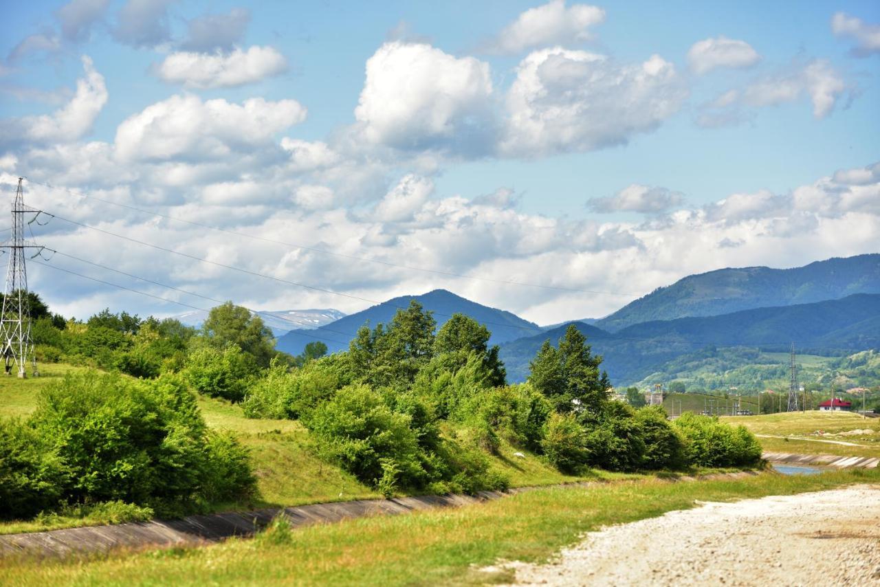 La Livada Villa Valea Danului Bagian luar foto