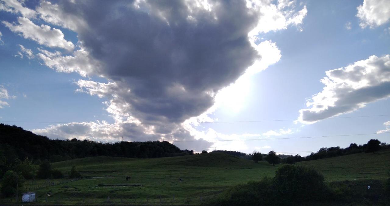 La Livada Villa Valea Danului Bagian luar foto