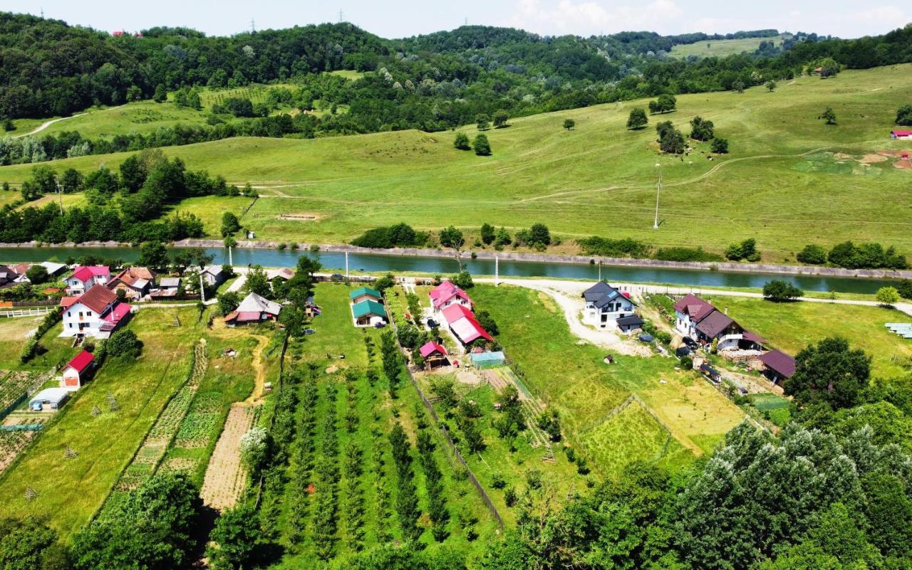 La Livada Villa Valea Danului Bagian luar foto